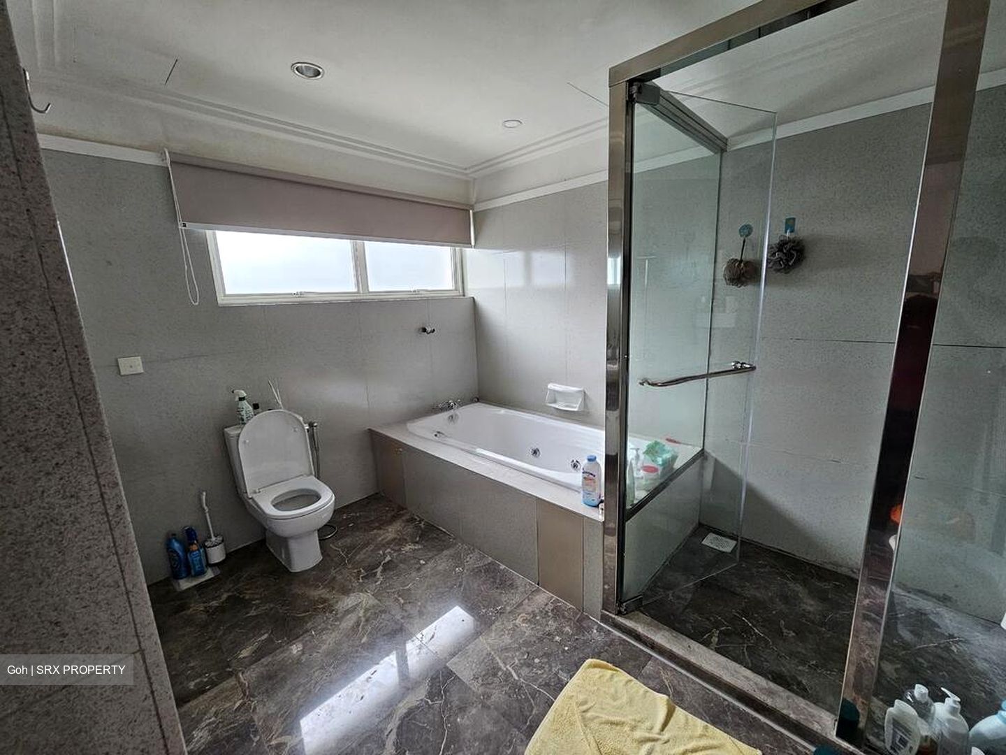 Sommerville Grandeur (D10), Condominium #566855381